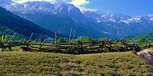 Image 01