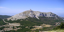 Image 01