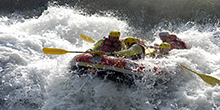 Image 01